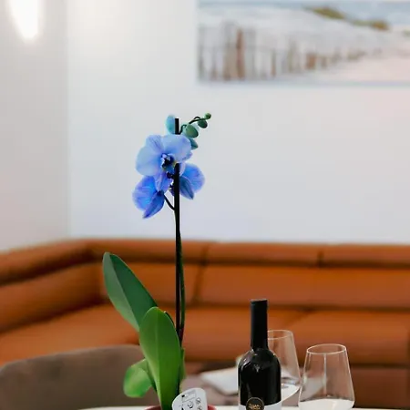 Madi * Biograd Na Moru