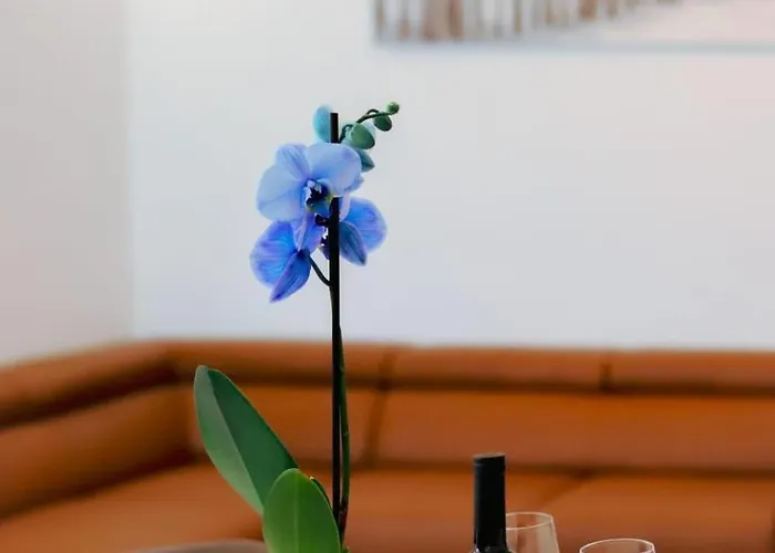 Madi * Биоград-на-Мору